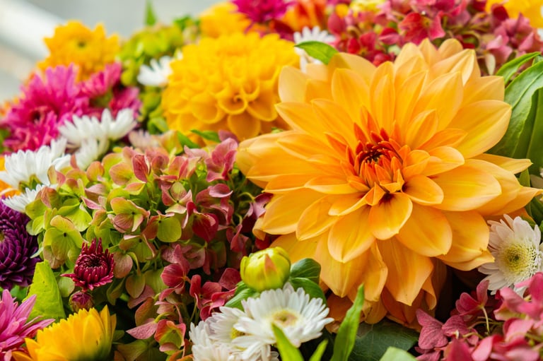 Gedroogde bloemen